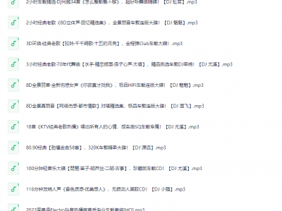 车载音乐 DJ串烧劲爆歌曲三百首