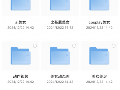 在某个博主哪里花了299买来，含有各种类型（嘘！~），用作壁纸很不错